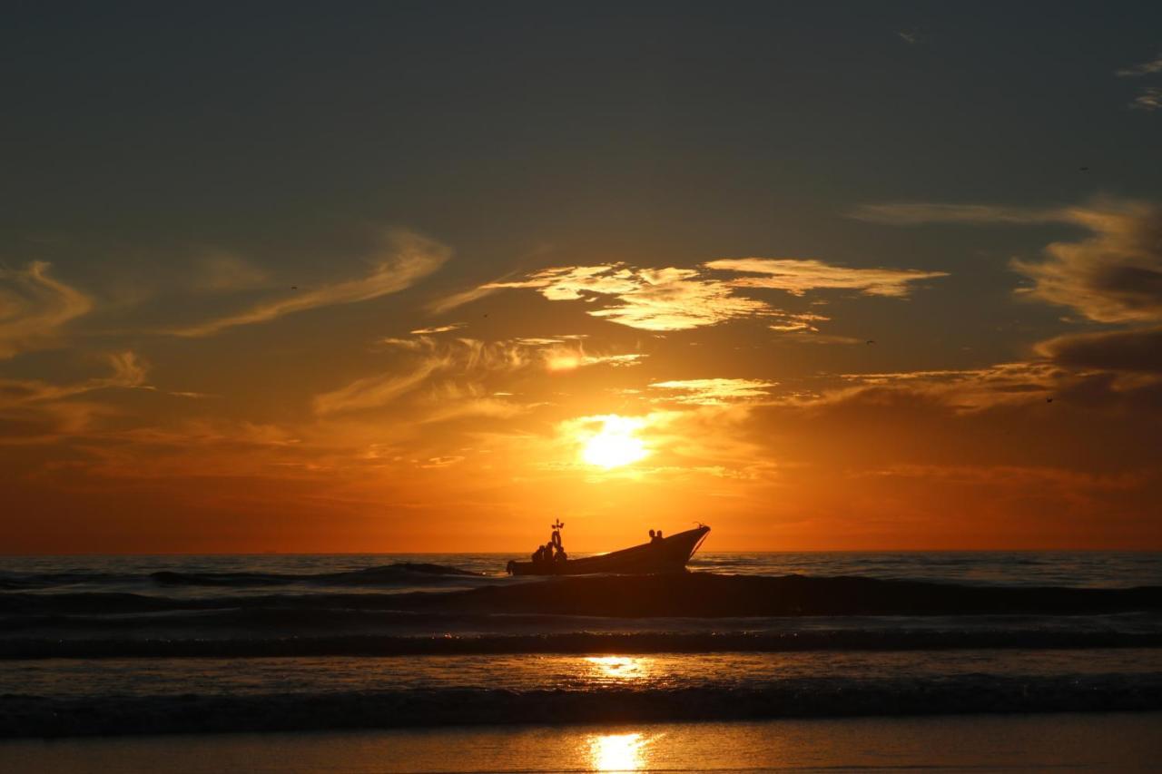 Green Element Guesthouse Costa de Caparica Eksteriør bilde